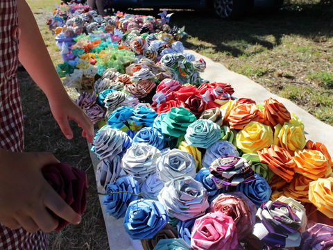 Wynyard Foreshore Market - South Australia Travel 0