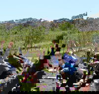 Yoga in the Vines - South Australia Travel