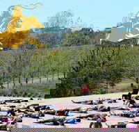 Yoga in the Vines - South Australia Travel