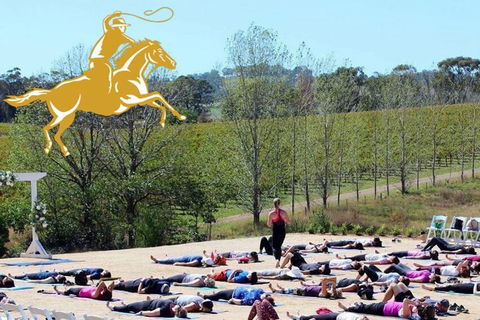 Yoga In The Vines - South Australia Travel 0