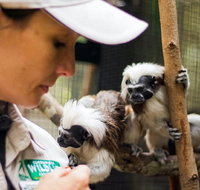 Animal Training and Conditioning - Sept - South Australia Travel
