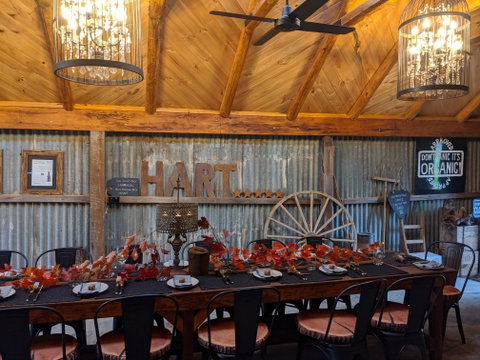 Friday Long Lunch @  Hart Of The Barossa Tasting Shed - South Australia Travel 0