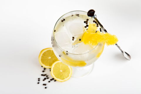 Online Live Streaming Class: Make Four Gin Cocktails - South Australia Travel 0