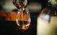 Tasmanian Whisky Week - thumb 1