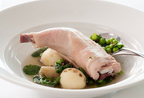 ROCKET Restaurant - South Australia Travel 3