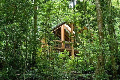 The Canopy Rainforest Treehouses And Wildlife Sanctuary - South Australia Travel 1