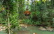 The Canopy Rainforest Treehouses And Wildlife Sanctuary - thumb 0
