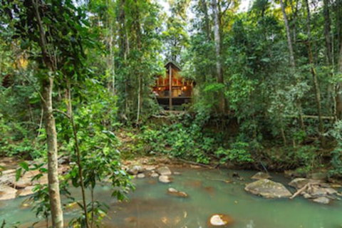 The Canopy Rainforest Treehouses And Wildlife Sanctuary - South Australia Travel 0