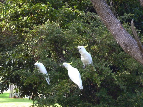 Coachman's Eden - South Australia Travel 5