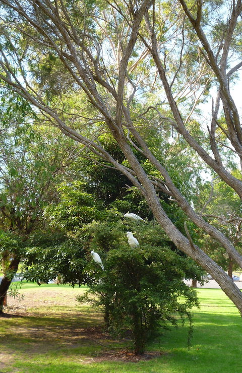 Coachman's Eden - South Australia Travel 4