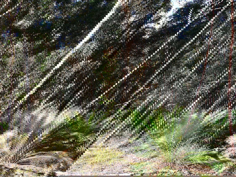 Turlinjah NSW South Australia Travel