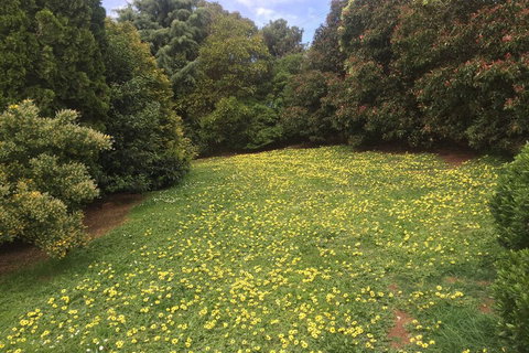 Warragul Views Motor Inn - South Australia Travel 2