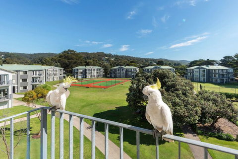 Mantra Lorne - South Australia Travel 3