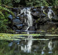Kondalilla Eco Resort - South Australia Travel