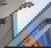 Dive Hotel - South Australia Travel