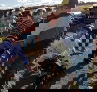 Hunter Valley Resort - South Australia Travel