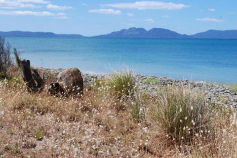 Schouten House - South Australia Travel 1