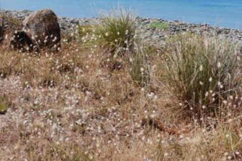 Schouten House - South Australia Travel 0