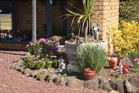 Sunray Motor Inn - South Australia Travel 6