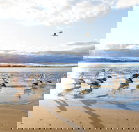 El Paso Motor Inn - South Australia Travel