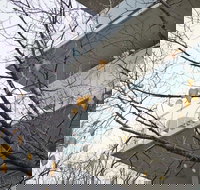 The Sebel Launceston