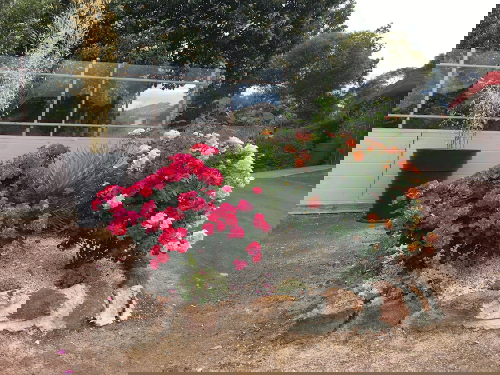 Denicull Creek VIC South Australia Travel