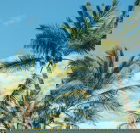 Base Magnetic Island Hostel