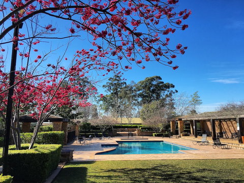 Mercure Resort Hunter Valley Gardens - South Australia Travel 3