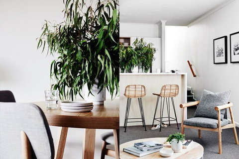 Cumberland Lorne Resort - South Australia Travel 2