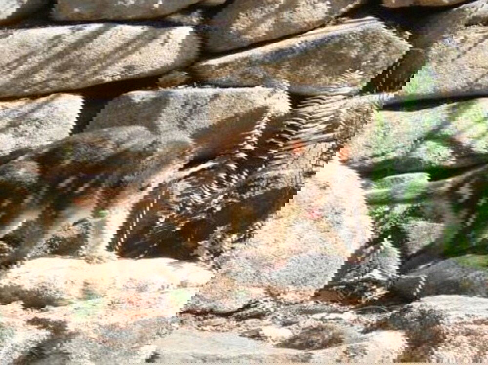 South Australia Travel