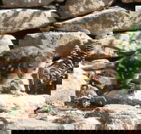 Jenolan Caves House - South Australia Travel