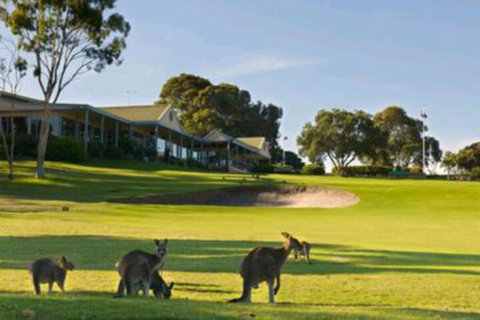 Early Settlers Motel Tocumwal - South Australia Travel 6