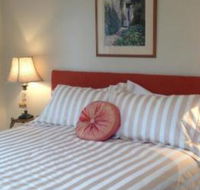 Every Man  His Dog Vineyard - South Australia Travel