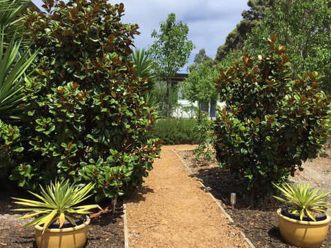 Bed + Bauhaus - South Australia Travel 2