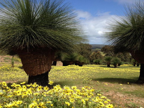 Bed + Bauhaus - South Australia Travel 5