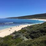 Bed + Bauhaus - South Australia Travel 0