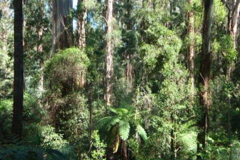 SIGNAL BOX Short Stay - South Australia Travel 3