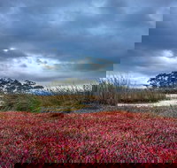 Saintys Creek Cottage - South Australia Travel