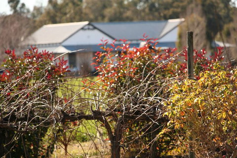 The Farmhouse At Blue Wren Wines - South Australia Travel 2