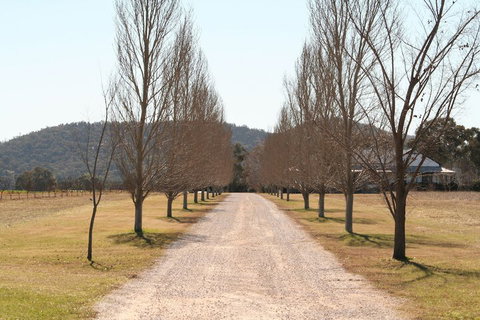 The Farmhouse At Blue Wren Wines - South Australia Travel 4