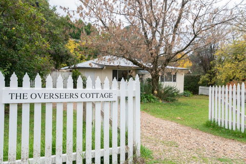 Mayfield Vineyard - South Australia Travel 2