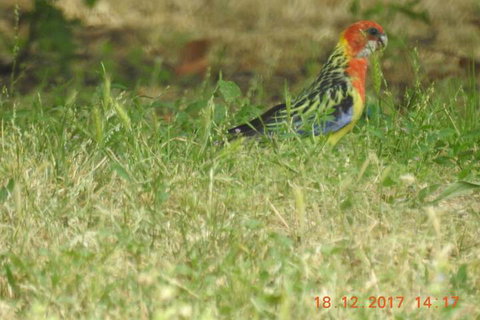 Barklysuites Apartments - South Australia Travel 5