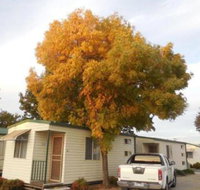Wodonga Caravan  Cabin Park - South Australia Travel