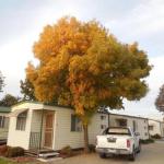 Wodonga Caravan & Cabin Park - South Australia Travel 1