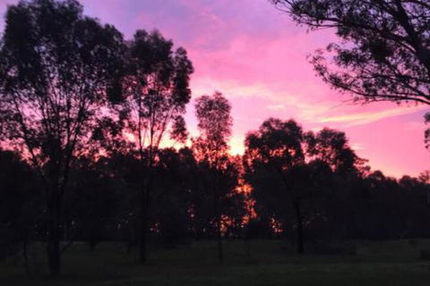 Rand Hotel - South Australia Travel 3