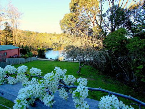 Cara - South Australia Travel 0