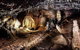 Yarrangobilly Caves House - thumb 6
