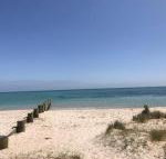 Sunset Over Sea Rosebud McCrae