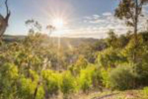 Skillogalee - South Australia Travel 0