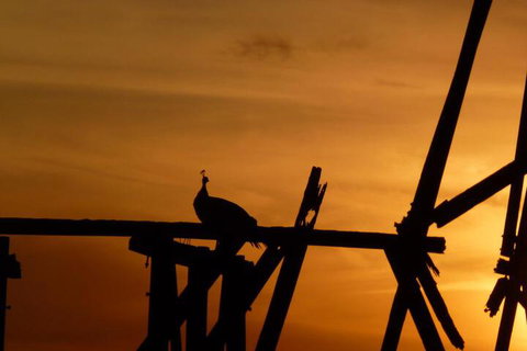 The Wicked Villa - South Australia Travel 5